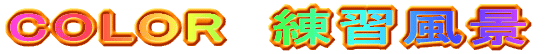 COLOR  ���K���i 
